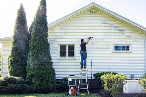 Roof Power Washing Services in Apple Valley, OH